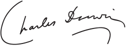 "Charles Darwin", with the surname underlined by a downward curve that mimics the curve of the initial "C"