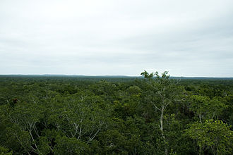 Calakmul Biosphere Reserve
