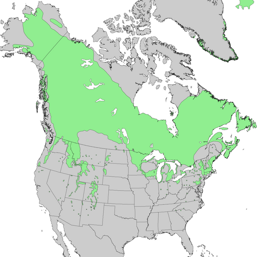 Species distribution