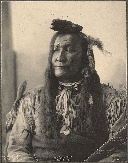 Mountain Chief