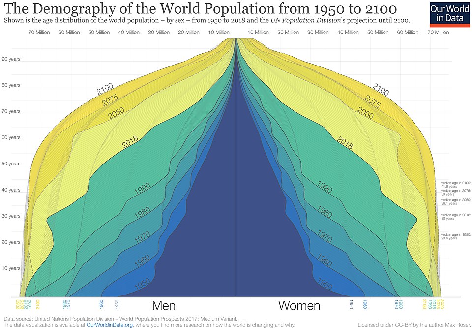 Demography